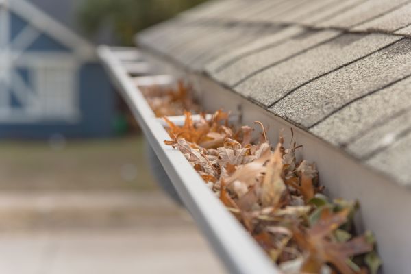 Leaf Barrier Installation in Alexandria