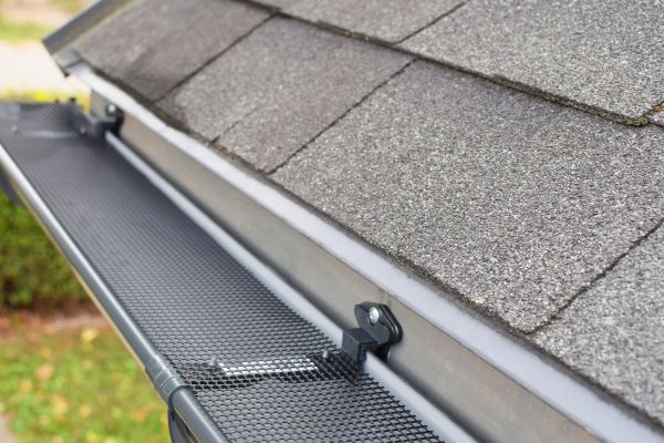 Rain Gutter Cover Installation in Alexandria