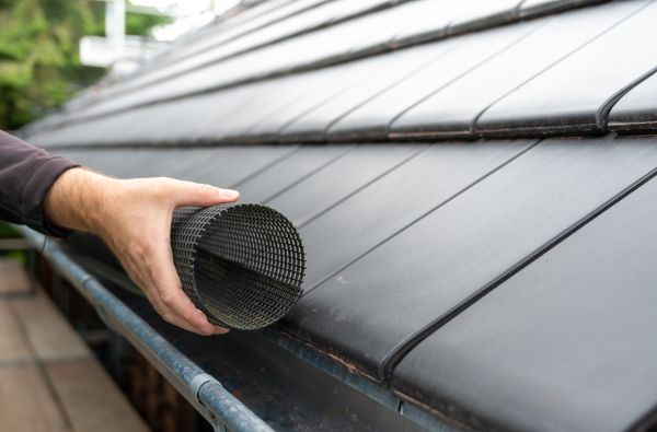 Gutter Mesh Installation in Alexandria