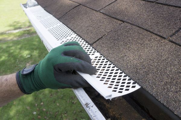 Gutter Filter Installation in Alexandria